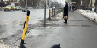 Новые ограничения для СИМ ввели в Туле - Молодой коммунар