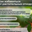 Строительные, промышленные и растительные отходы нельзя выбрасывать в обычные баки для бытового мусора и складировать на контейнерных площадках!!! - Тавдинский городской округ