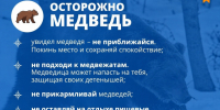 На Таймыре усилят меры безопасности в связи с выходами медведей. - Таймырский Долгано-Ненецкий район