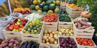 Около 200 фермеров представят свою продукцию на агрофестивале в Астрахани - Астрахань 24