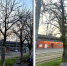 В Ростове на Привокзальной площади уберут 27 засохших деревьев - Городской репортёр