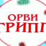 Как подготовить организм к сезону гриппа! - Краснокамский район