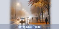 В Лаишевский район надвигается туман - Камская новь