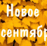 Продолжаем говорить о новом в сентябре - Газета Красносулинский вестник