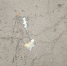image - GazetaRB.Ru