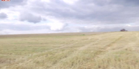 Видео - ТВН