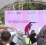 Видео - ТВН