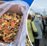 Мухоморы могут быть опасны для нервной системы | Источник: Юрий Скородумов / 29.RU, Иван Митюшёв / 29.RU - 29.Ru