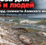 Угроза для рыб и людей: эксперт рассказал, чем опасен исторический рекорд солености Азовского моря - Bloknot-Rostov.Ru