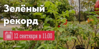 В Мурманске пойдёт акция «Зелёный рекорд» - Арктик-ТВ