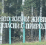 Спасатели Татарстана рассказали, как действовать при потере в лесу - ТРК Татарстан-Новый век