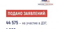 Почти 45 тысяч псковичей подали заявления на ДЭГ - Псковская правда