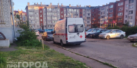 Садовые работы обернулись опасной лихорадкой для жителя Марий Эл - Pg12.Ru