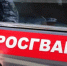 Пензячка устроила дебош в баре из-за ссоры с работодателем - Progorod58.Ru