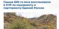 Свыше 600 га леса восстановили в КЧР по нацпроекту и партпроекту «Единой России» - Газета День республики