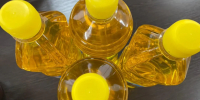 Тамбовские производители нарастили экспорт масложировой продукции в 19,5 раза - Abireg.Ru