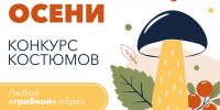 30 тысяч рублей получит автор лучшего «грибного» костюма в Мурманске - ИА Nord-News.Ru