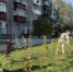 Петуховская администрация не только следит за порядком в округе, но и сама убирает мусор и красит лавочки - Новый мир