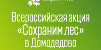Высадим более 500 деревьев и кустарников: в Домодедово стартует Всероссийская акция «Сохраним лес» - Администрация г. Домодедово