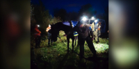 В Юрьянском районе волонтеры спасли лошадь, застрявшую в ручье - Prochepetsk.ru