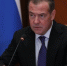 Дмитрий Медведев рассказал о будущем России и слухах о мобилизации - Марийская правда