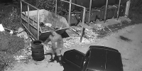 В Ельце стали фиксировать сброс мусора из автомобилей! - Allelets.Ru