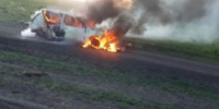 В Целинном округе двое мужчин подстрелили косулю и едва не сожгли её в багажнике - Новый мир