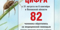 82 случая присасывания клещей произошли в Псковской области за неделю - Pln-Pskov.Ru