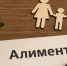Жительница Камчатки лишилась алиментов из-за бездействия судебного пристава - ИА Кам 24