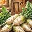 Народные приметы на 11 сентября: почему нельзя есть круглые продукты и пользоваться ножами - Yakutia-Daily.Ru