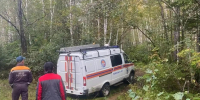 В лесу искать приходится и грибы, и грибников - МЧС по Хабаровскому краю