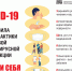 Памятка по профилактике ОРВИ, гриппа и новой коронавирусной инфекции - Первомайский район
