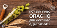 Почему ПИВО ОПАСНО ДЛЯ МУЖСКОГО ЗДОРОВЬЯ? - Газета За большую Дегтярку
