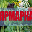 Ежегодная ярмарка "Золотая осень 2026". - Нефтекумский муниципальный округ