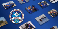 Из леса в Лужском районе вывели заблудившегося мужчину - 47 новостей