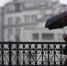 Желтый уровень опасности объявили в Москве из-за 7-балльных порывов ветра - M24.Ru