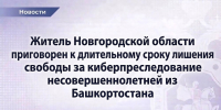 Житель Новгородской области приговорен к длительному сроку лишения свободы за киберпреследование несовершеннолетней из Башкортостана - Следственный комитет