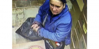 Найти Проститутку В Сочи