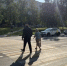 38 белгородцев оштрафовали за переход дороги в неположенном месте за сутки - Сетевое издание Победа 31