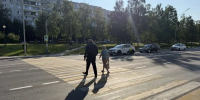 38 белгородцев оштрафовали за переход дороги в неположенном месте за сутки - Сетевое издание Победа 31