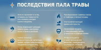 МЧС России напоминает: человеческий фактор — главная причина пожаров - ГУ МЧС России