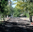 Как идет благоустройство парка - Администрация города Свердловска и Свердловского района