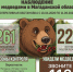На Колыме на прошедшей неделе медведи выходили к людям 6 раз - MagadanMedia.Ru