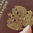 Девушка из Омска впервые получила паспорт в 23 года - Gorsite.Ru