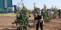 В Белом Яре готовят самое красивое место для прогулок и отдыха - ИА Хакасия