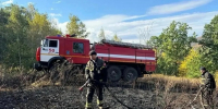 В Башкирии потушили все лесные пожары - Сетевое издание Республика Башкортостан