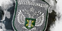 Лосось-призрак обнаружен на рыбном предприятии Орловской области - OrelTimes.Ru