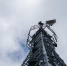 Екатеринбуржцам рассказали о развитии сети 5G - EaNews.Ru