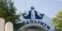 Четыре года борьбы за выступления. Мурманский океанариум получил заветную лицензию - КП Мурманск