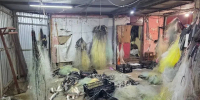 В Ростовской области пресекли незаконный вылов краснокнижной рыбы - Городской репортёр